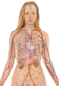 biologico