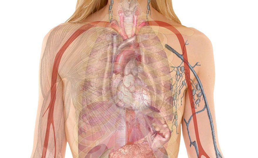 biologico