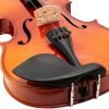 Violino per studenti Theodore VLN16-1-4 - Top in Abete Massello