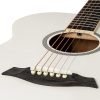 Chitarra Acustica TIGER - con accessori