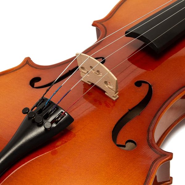 Violino per studenti Theodore VLN16-1-4 - Top in Abete Massello