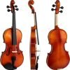 Violino per studenti Theodore VLN16-1-4 - Top in Abete Massello