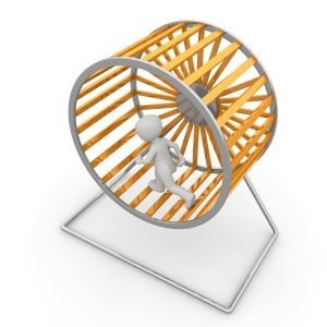 hamster wheel, wheel, job