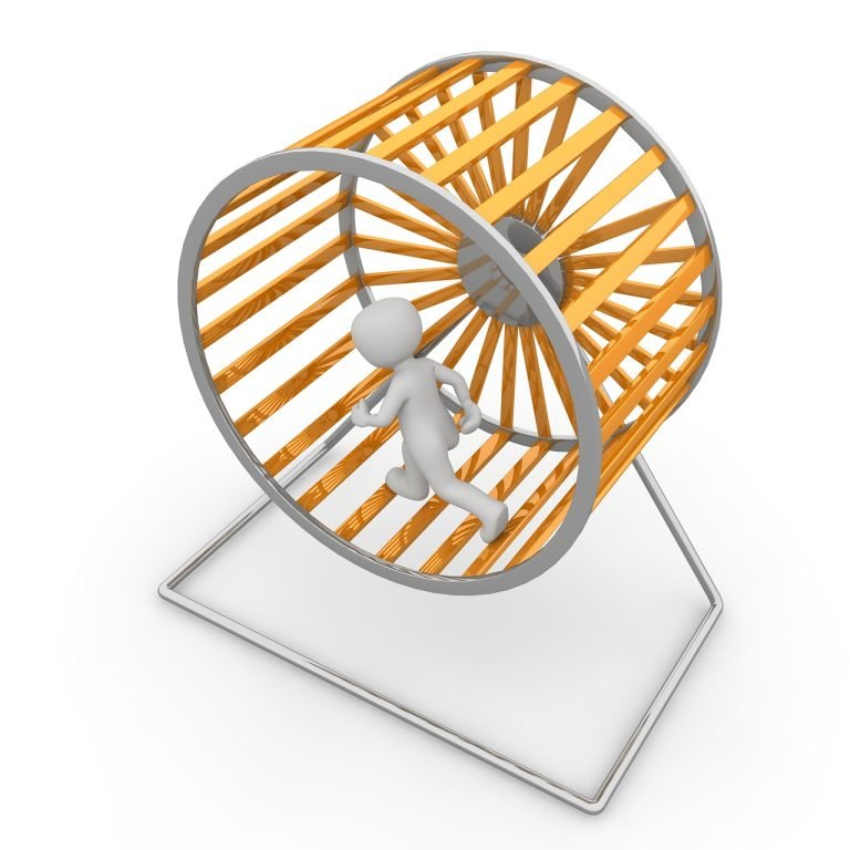 hamster wheel, wheel, job