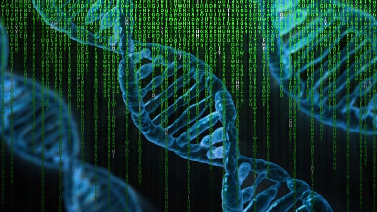 dna, matrix, genetics
