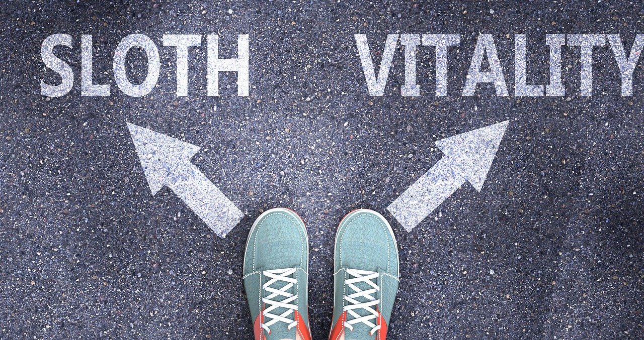 sloth, vitality, decide