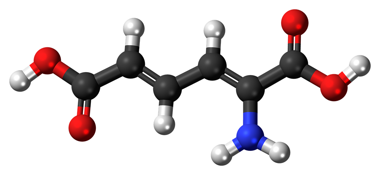 aminomuconic, acid, metabolism
