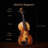 Violino Set per principianti Eastar - Legno Massiccio con accessori