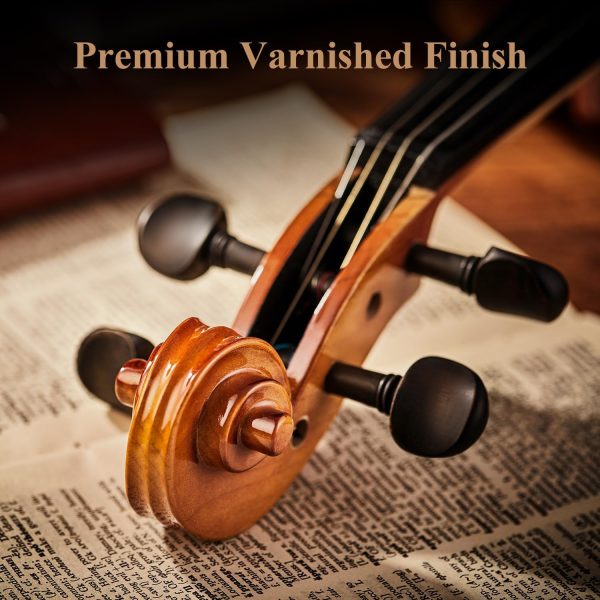 Violino Set per principianti Eastar - Legno Massiccio con accessori