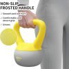 81AFelryW0L._AC_SL1500_-1 Kettlebell Morbido da 2 a 10 kg PROIRON - con Impugnatura Antiscivolo