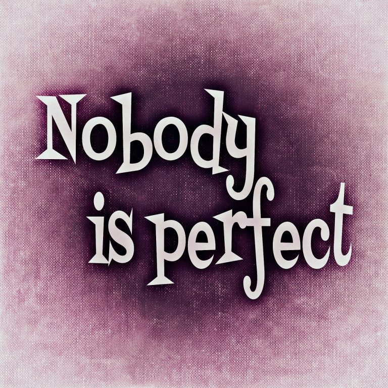 nobody is perfect, saying, perfect