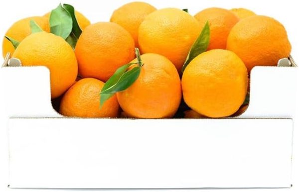 Arance siciliane biologiche con buccia edibile - 10kg