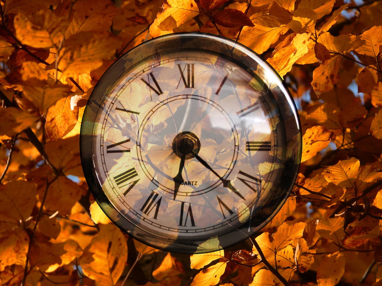lifetime, pocket watch, time