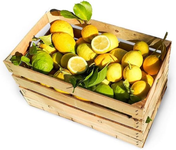 Limoni siciliani biologici con buccia edibile - 10kg