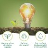 6163ArKL32L._AC_SL1500_ Sgrassatore Spray Ecologico con Materie Prime di Origine Vegetale by Winni's - 750 ml x 5 Confezioni