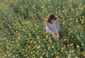 the daisies, girl-on application, ha noi vietnam